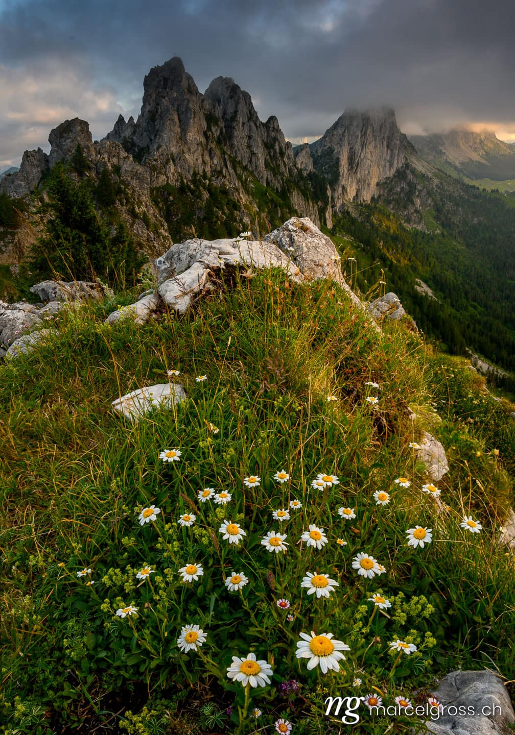 Sommerbilder Schweiz. . Marcel Gross Photography