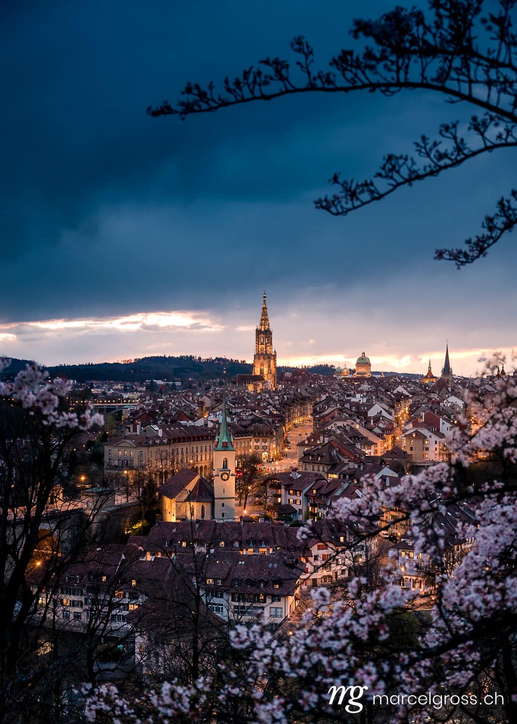 Bern Bilder. skyline of Berne during Cherry blossom at blue hour in spring. Marcel Gross Photography