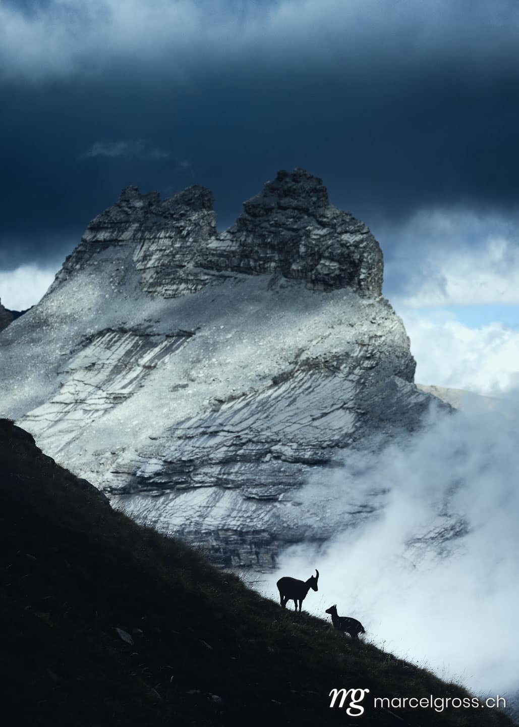 . . Marcel Gross Photography