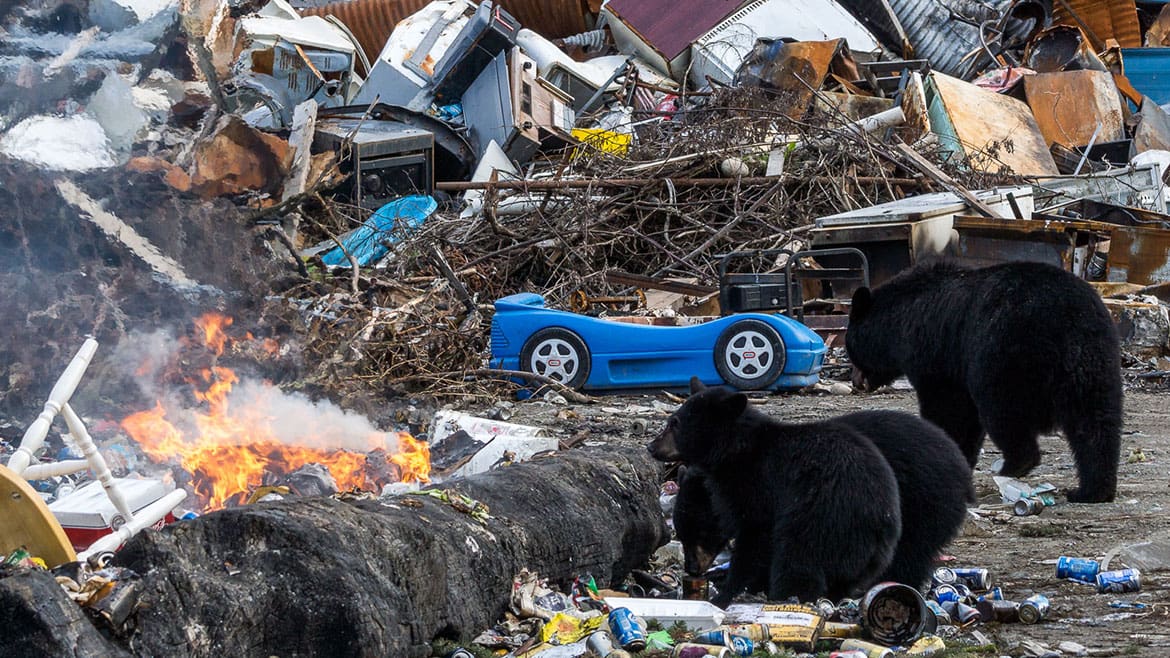Hyder – die friedlichste Geisterstadt Alaskas 2 2014_09_02_1