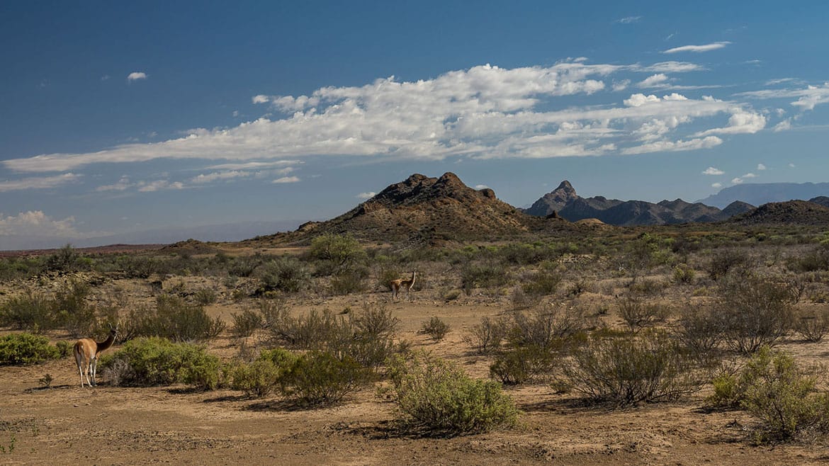 Amerikanischer Südwesten? Nein, Argentinien 1 2014_12_30
