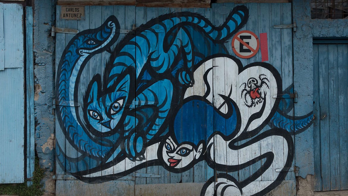 Graffiti-Hochburg Valparaíso 3 2015_01_04_2