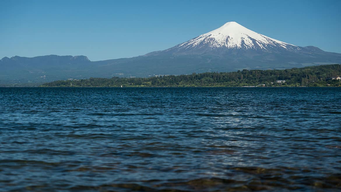 Die Araukarie 3 2015_01_11