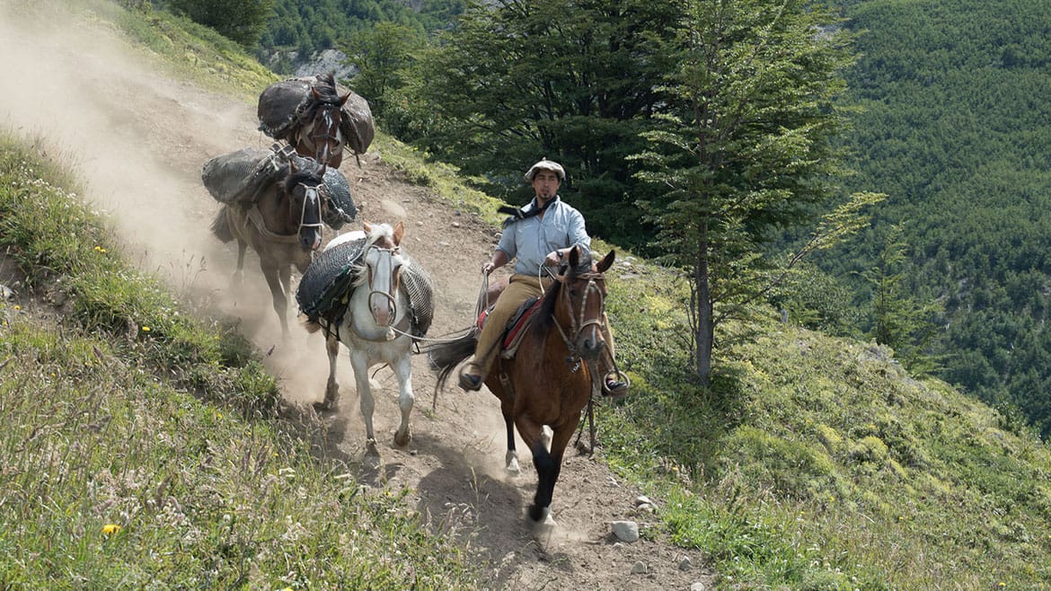 Ein unerwartetes Wiedersehen 2 2015_01_20_1