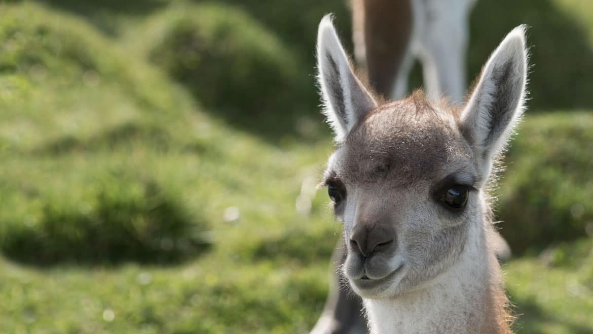 Ein unerwartetes Wiedersehen 3 2015_01_20_2