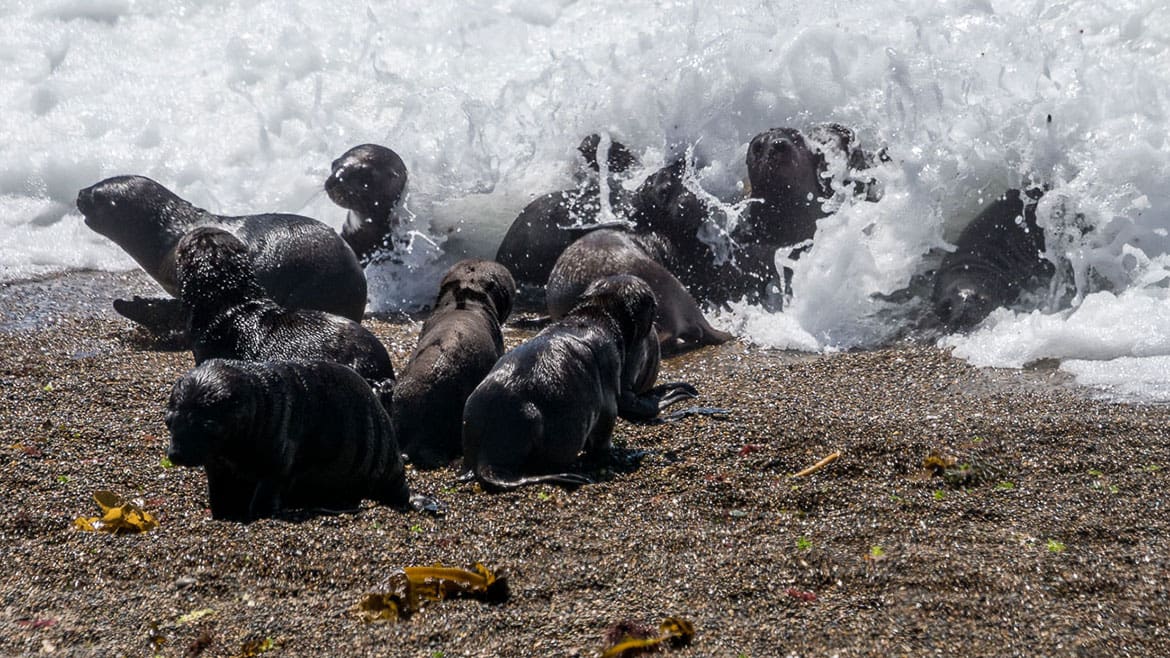 Vergebliches Warten an der Punta Norte 2 2015_02_07_1