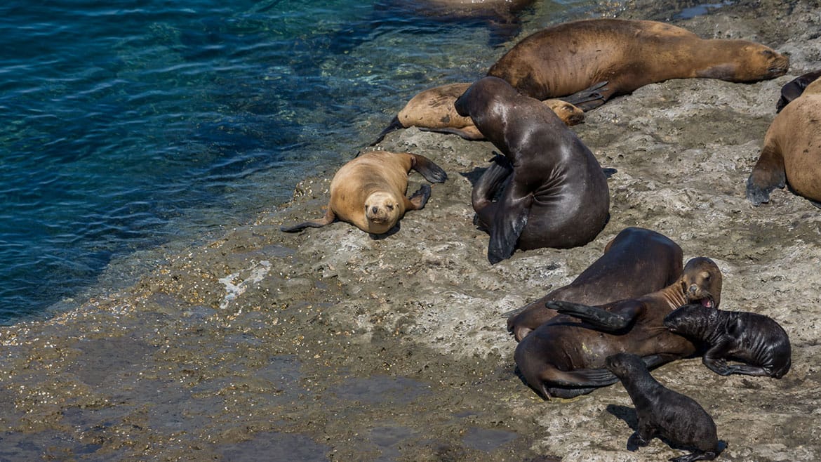 Vergebliches Warten an der Punta Norte 1 2015_02_07_2