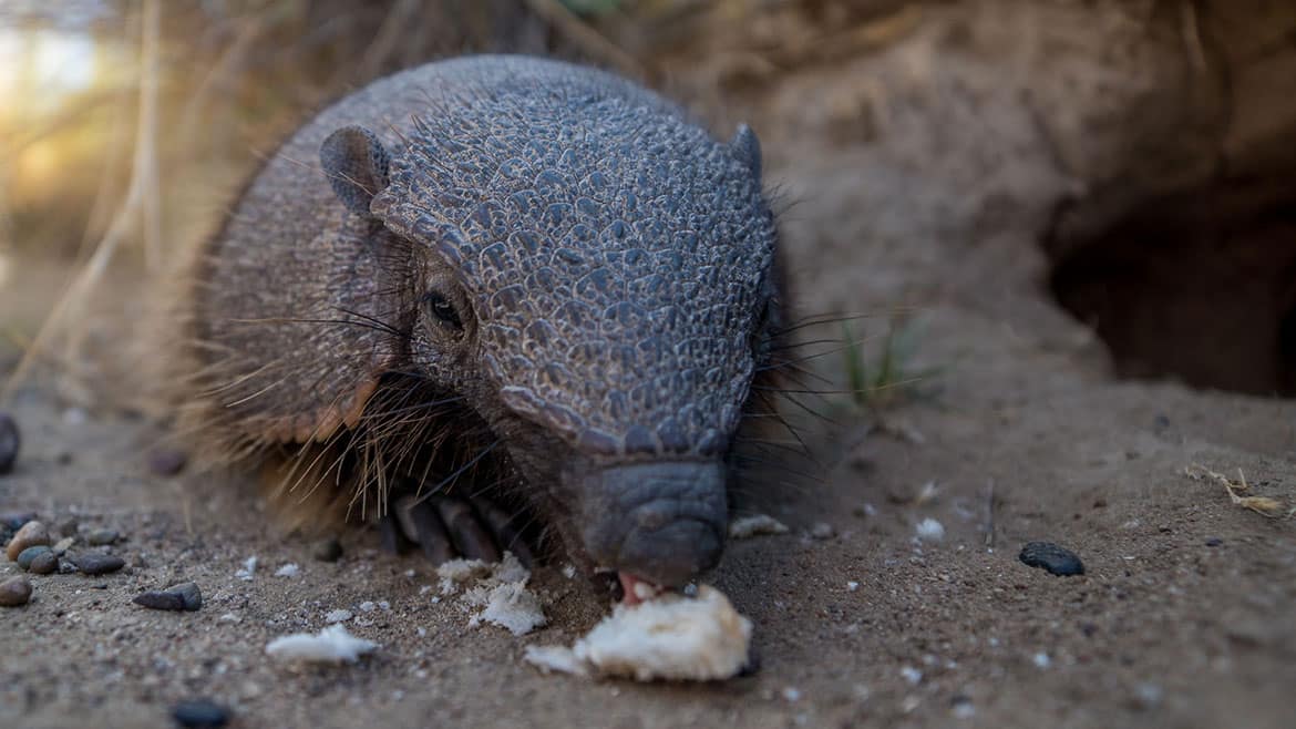 Vergebliches Warten an der Punta Norte 3 2015_02_07_3