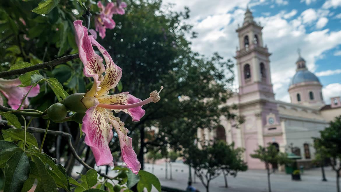 Die Kindermumien der Inkas 2 2015_02_17_2