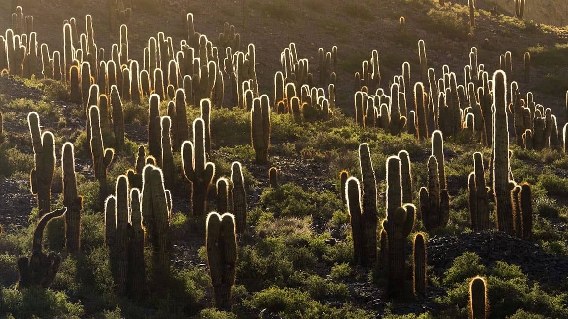 Salinas Grandes - Einöde aus Salz 6 2015_02_19_4