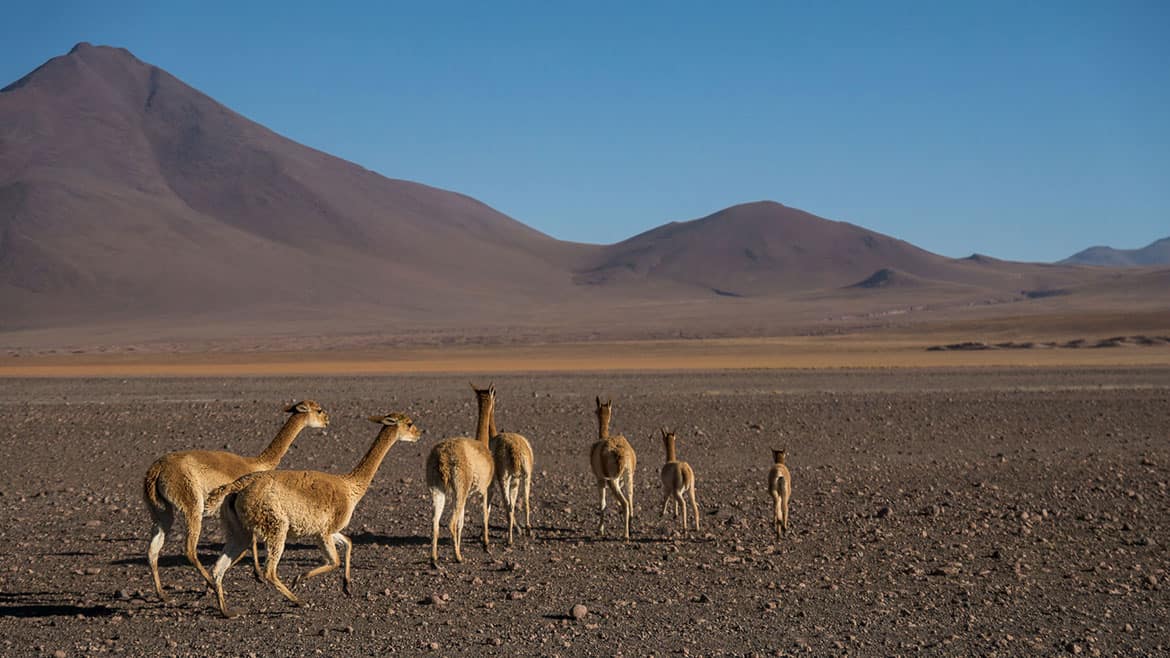 Start of the three-day tour to Uyuni 4 2015_02_25_1