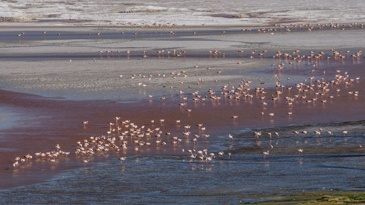 Start of the three-day tour to Uyuni 5 2015_02_25_2