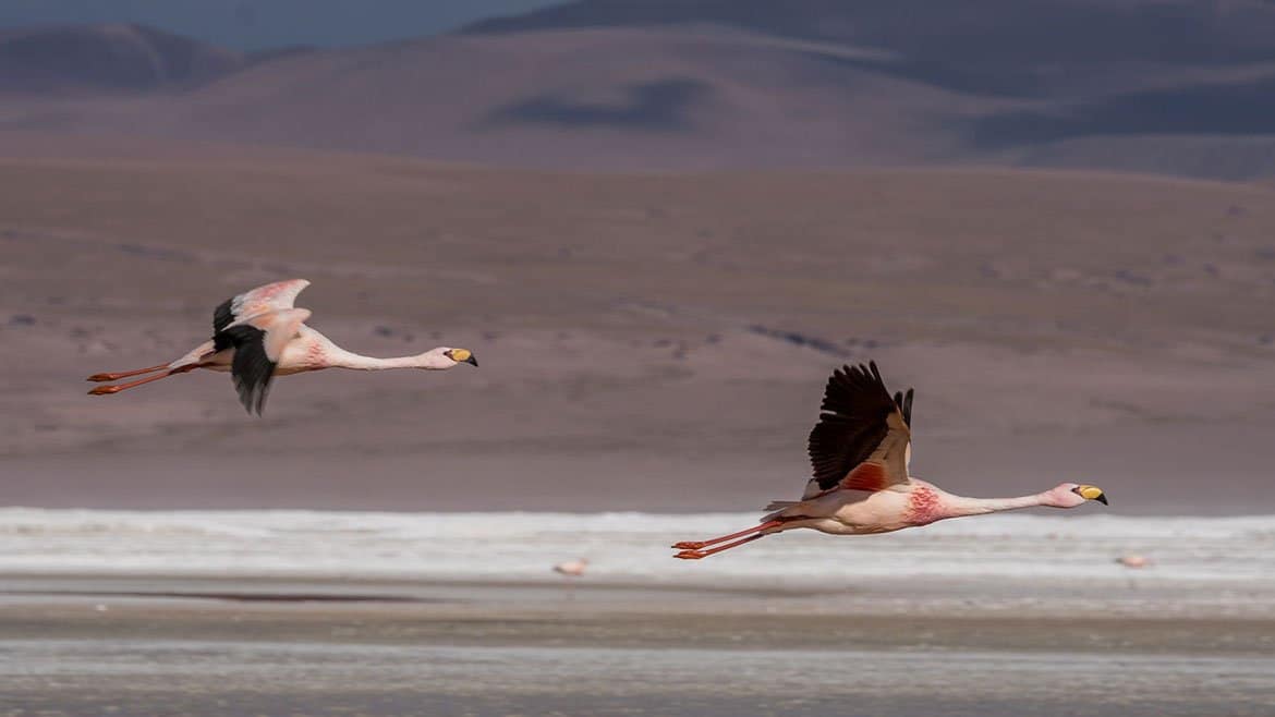 Start of the three-day tour to Uyuni 6 2015_02_25_3