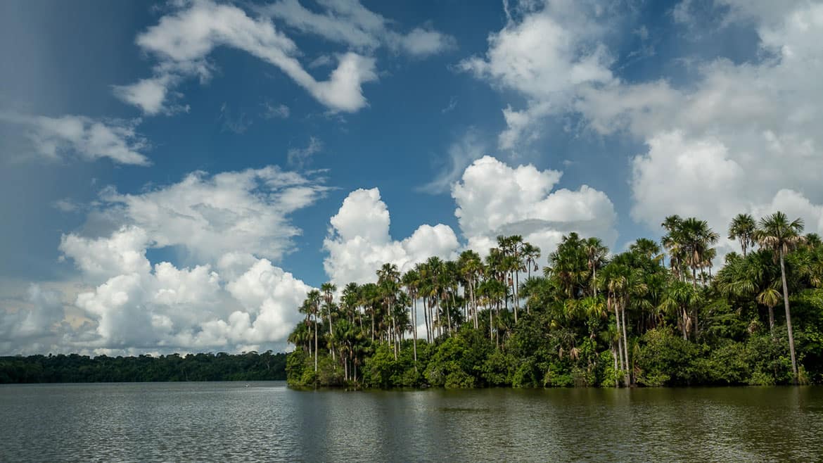 Ein weiterer Wunsch geht in Erfüllung: Riesenotter! 1 Willkommen im Lago Sandoval