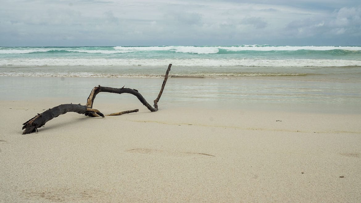 Erstes Schnorcheln in der traumhaften Finch Bay 3 Strand