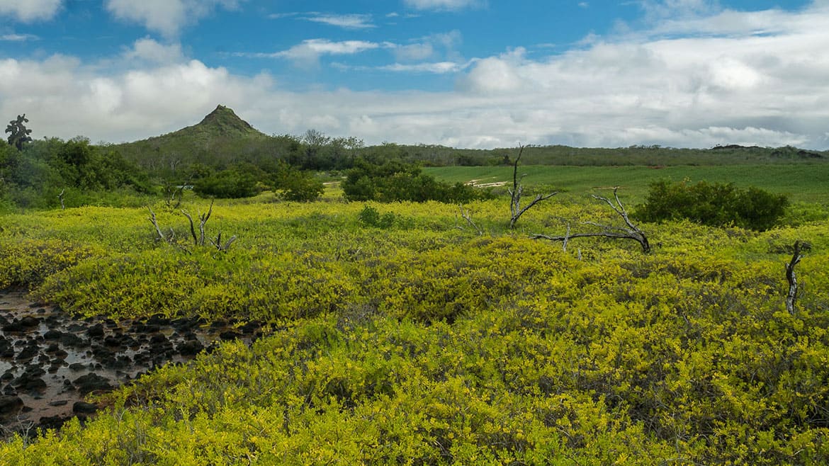 Don't change behavior! 5 Landscape at the Cerro Dragon