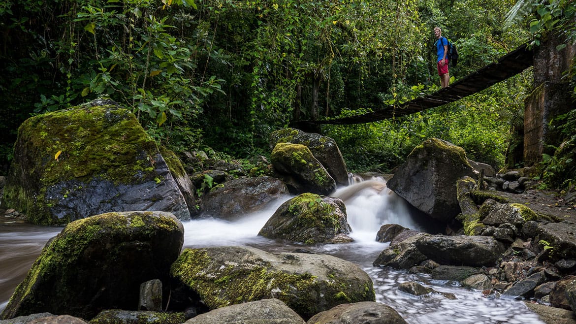 Kolibri-Paradies Valle de Cocora 3 Eine der zahlreichen Hängebrücken im Indiana-Jones-Stil