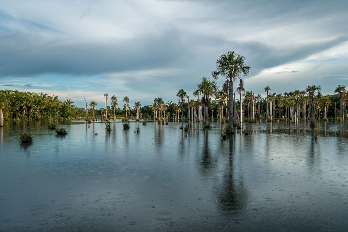 Lagune der Aras 2 20141210_DSC06829