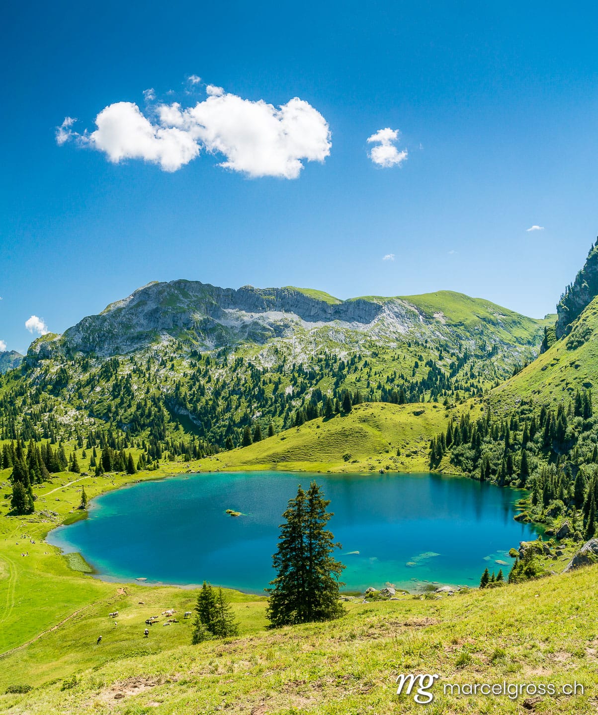 Sommerbild Schweiz. Seebergsee. Marcel Gross Photography