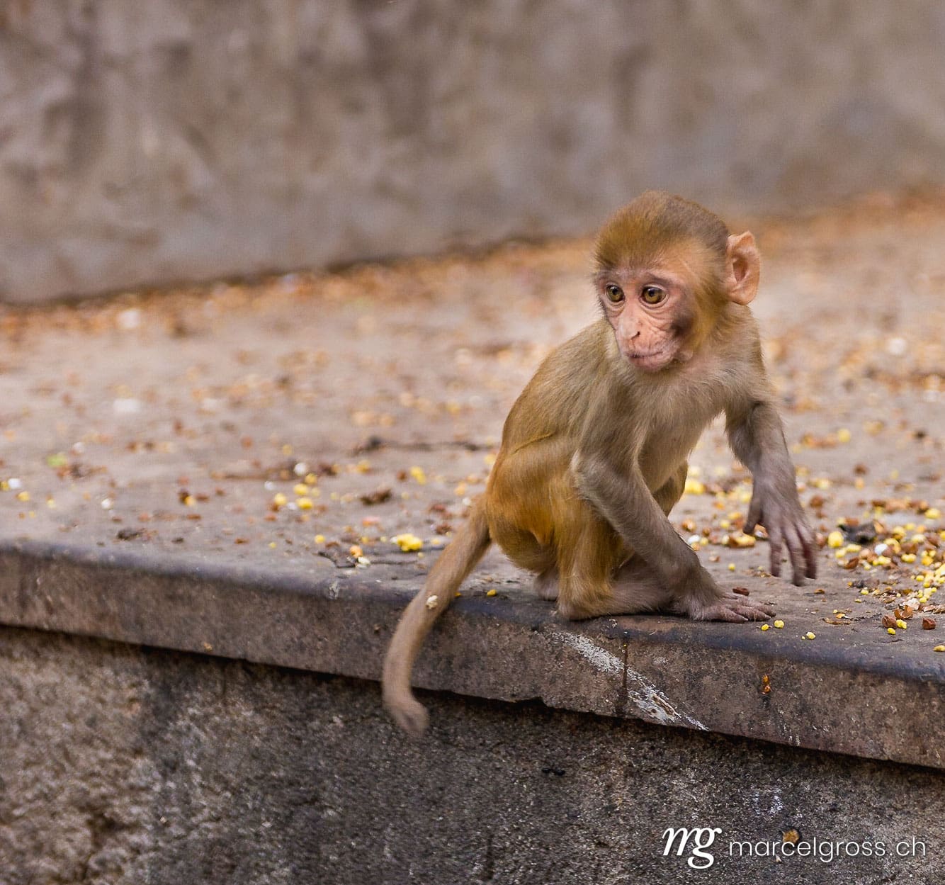 . Taken by Marcel Gross Photography