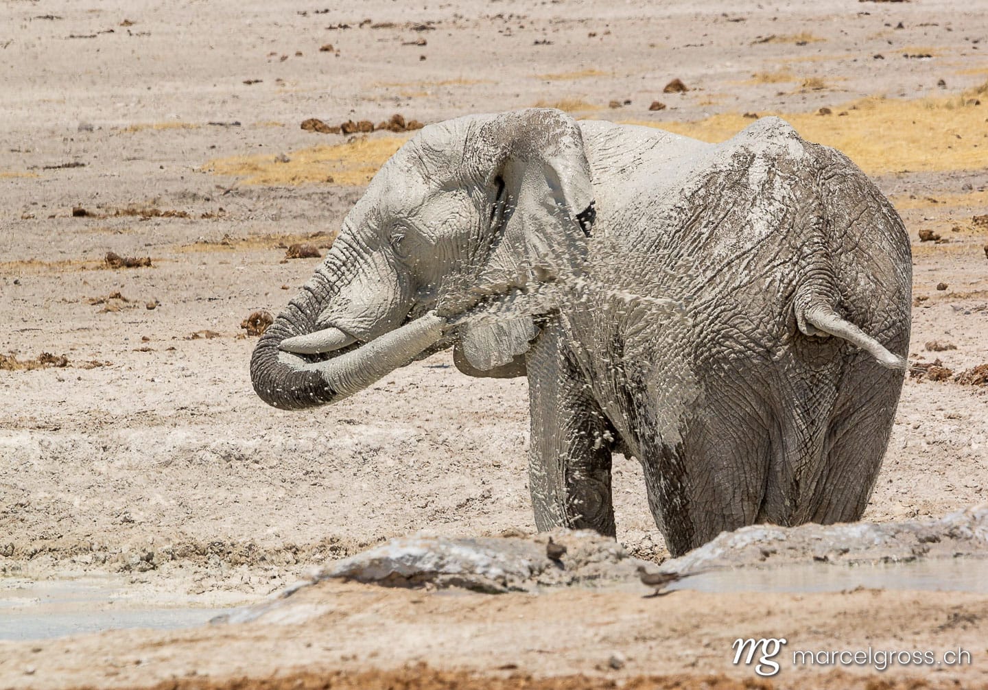 . mud bath. Marcel Gross Photography