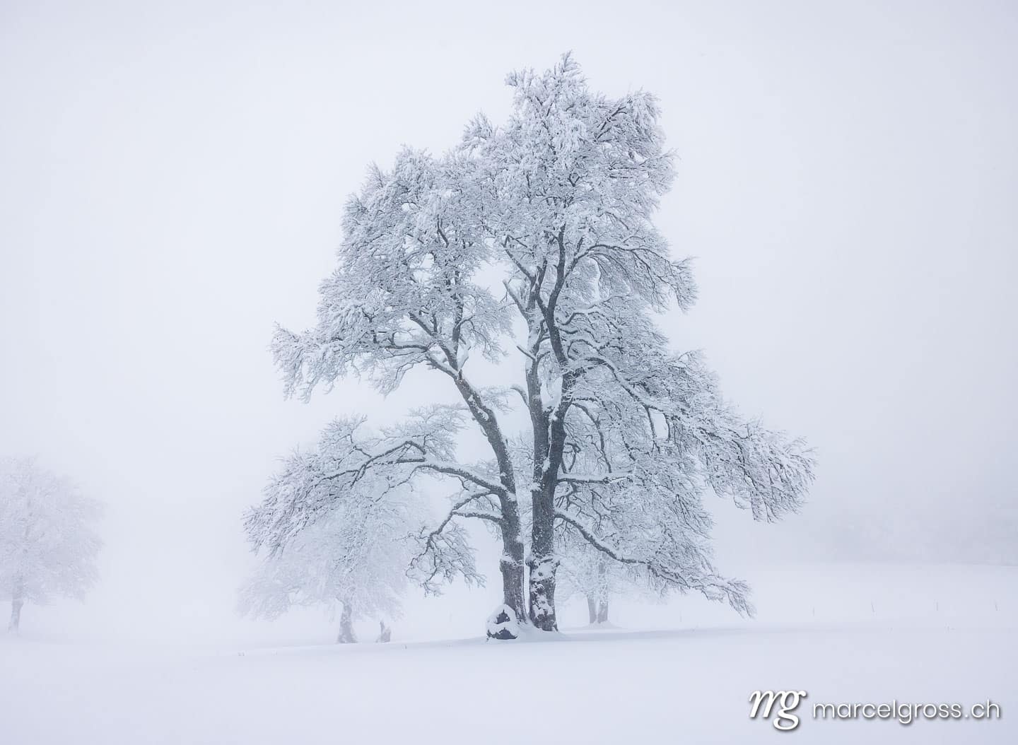Winter in Switzerland. Marcel Gross Photography