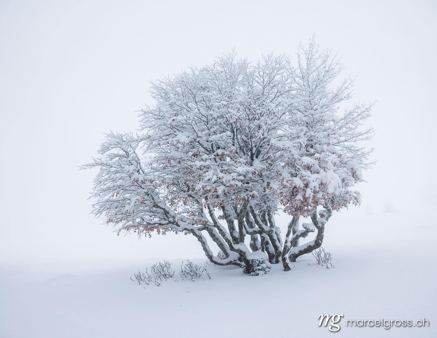 Winter picture Switzerland. . Marcel Gross Photography