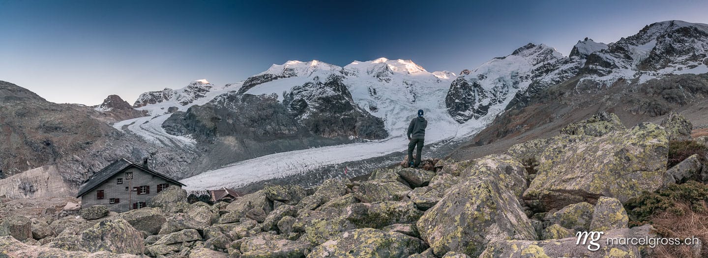 . glacial lake trough branches of a yellow larch. Marcel Gross Photography