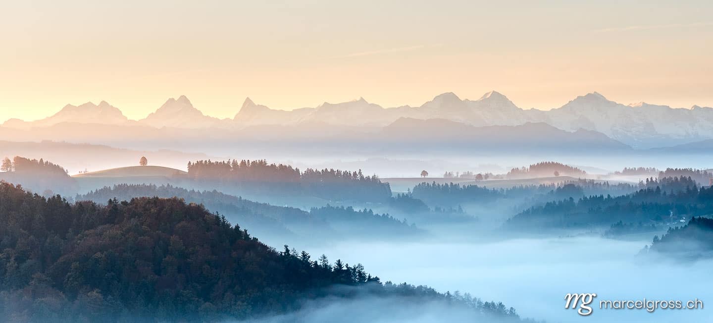 . . Marcel Gross Photography