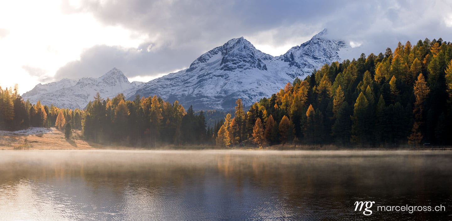 Herbstbild Schweiz. autumn mood a Lake Sils. Marcel Gross Photography