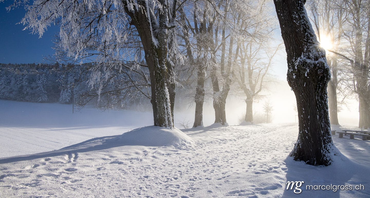 Winter in Switzerland. Marcel Gross Photography