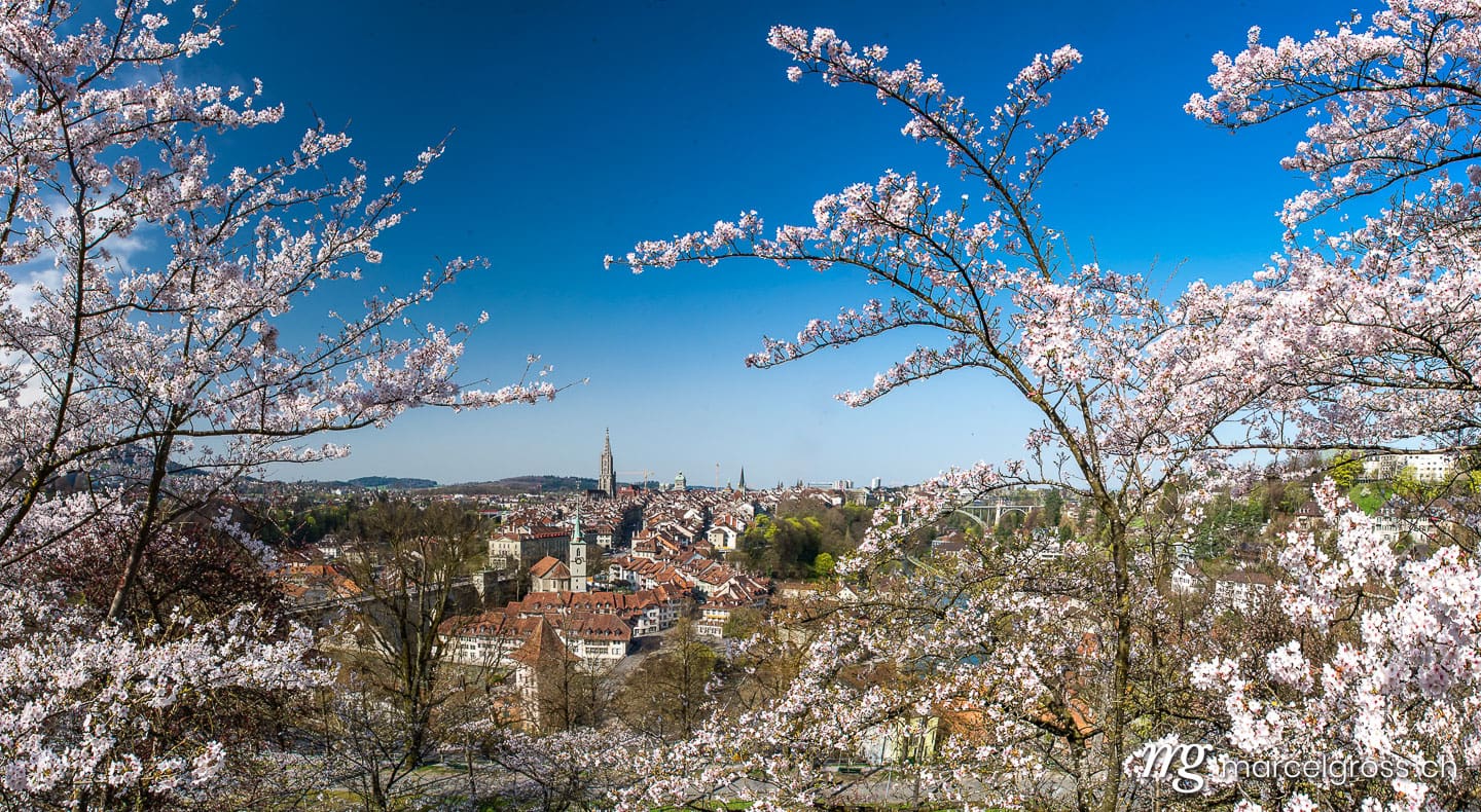 Bern Bilder. Stadt Bern im Frühling, Schweiz. Marcel Gross Photography