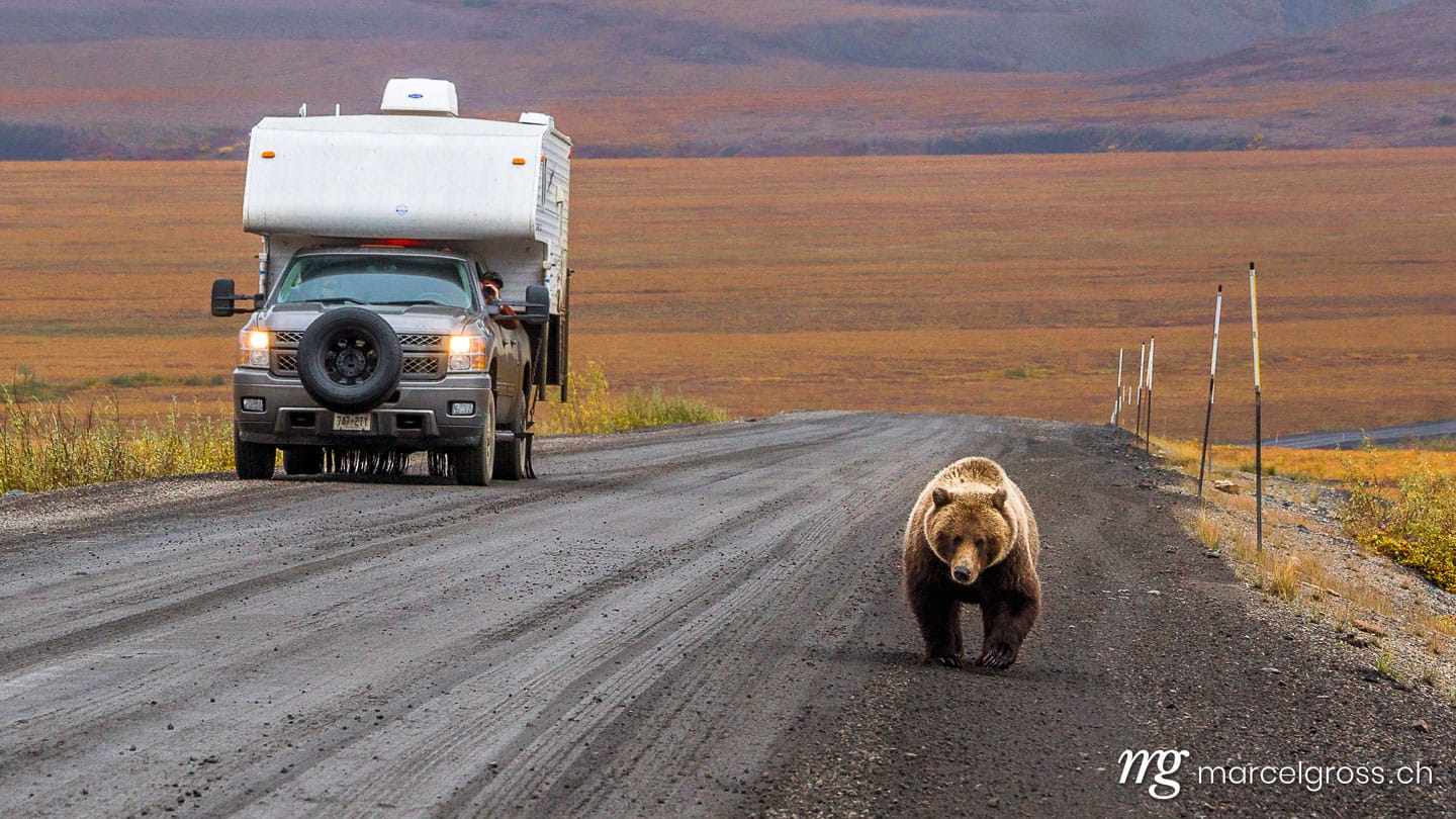 . oncoming traffic. Marcel Gross Photography