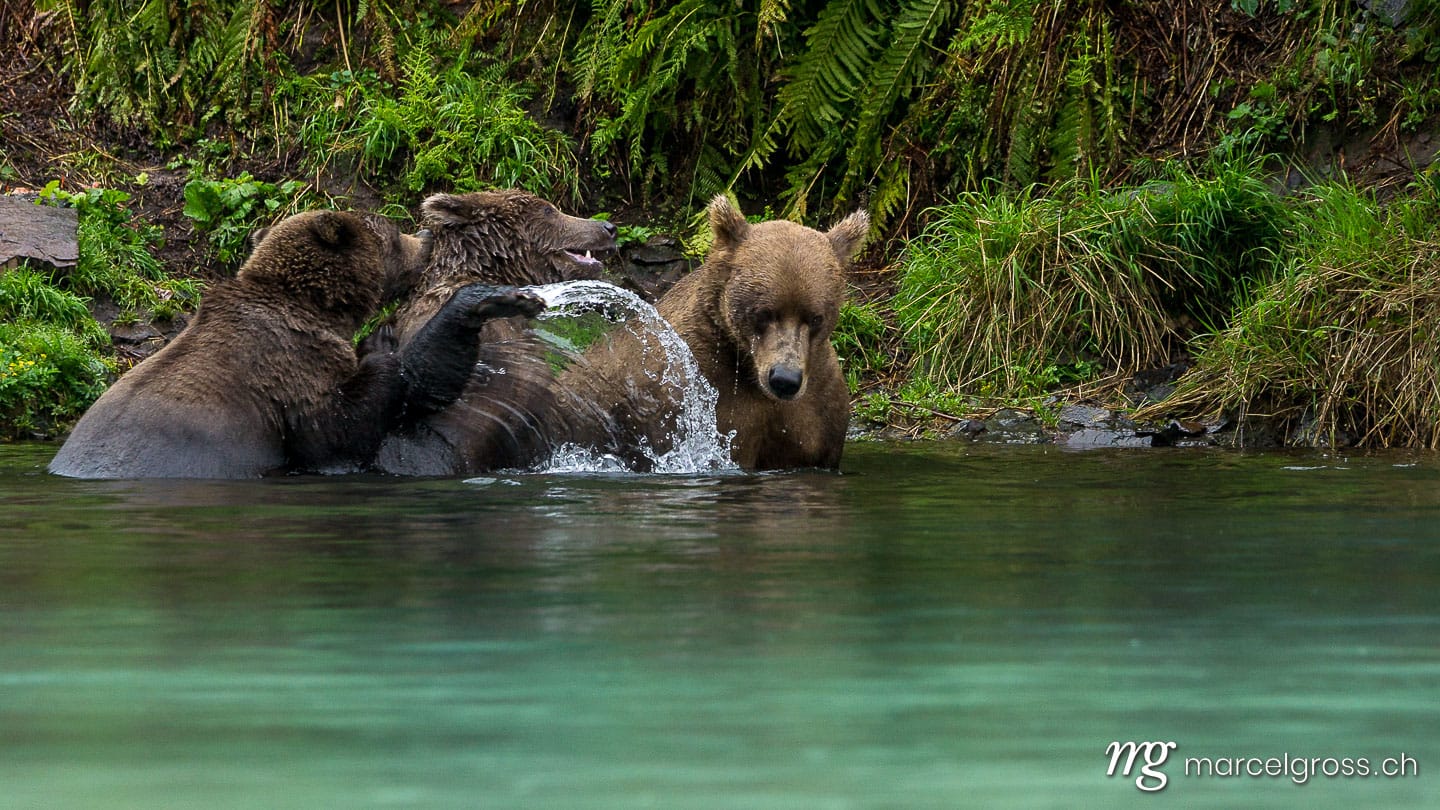 In beautiful Lake Clark National Park in Alaska. Taken by Marcel Gross Photography
