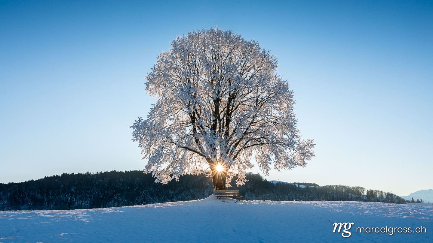 Winter in Switzerland. Marcel Gross Photography