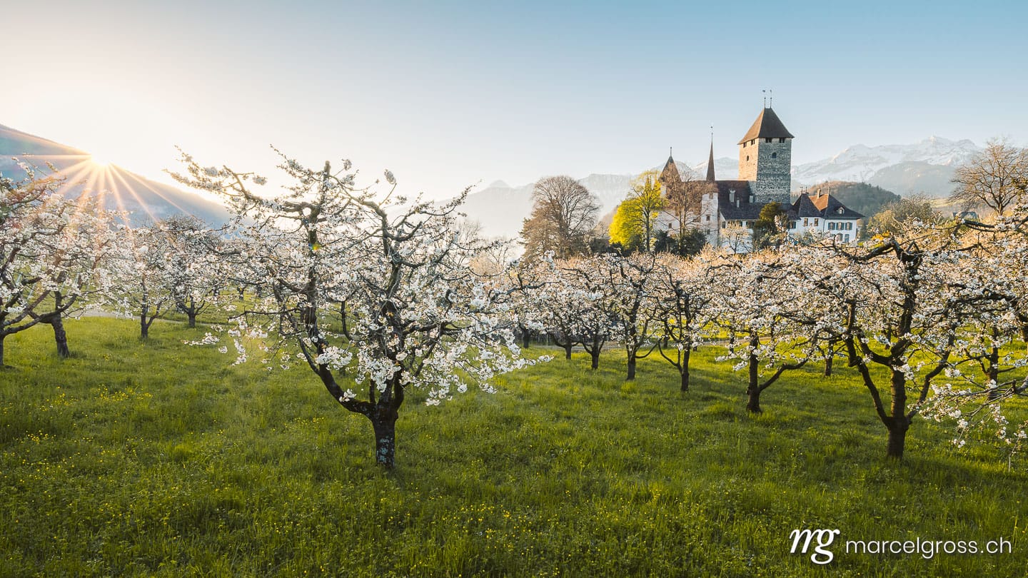 .  (c) Marcel Gross Photography