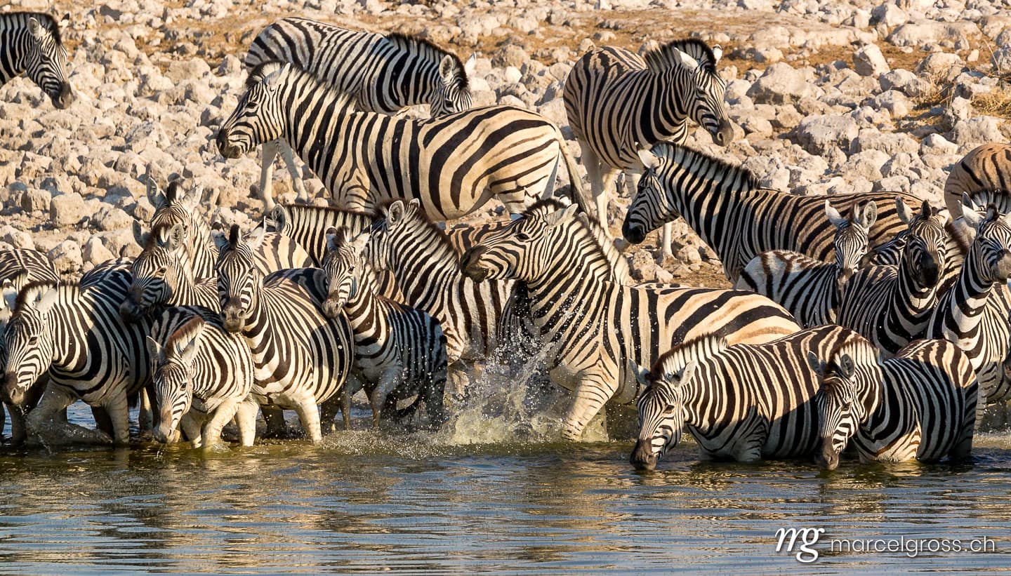 . panic. Marcel Gross Photography