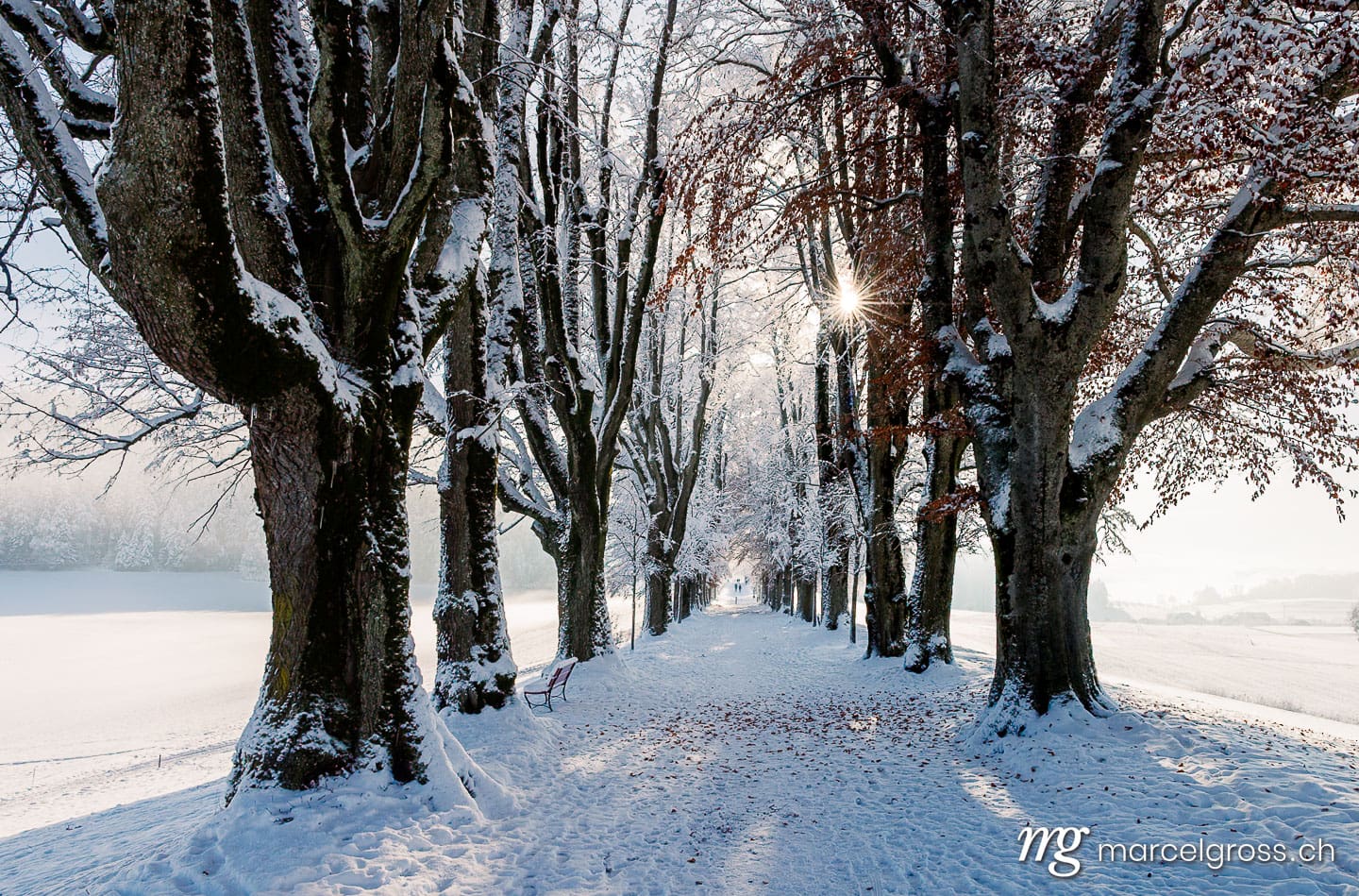 Winter picture Switzerland. . Marcel Gross Photography