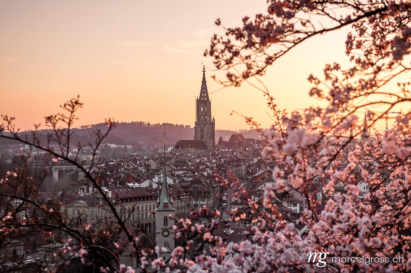 Bern Bilder. cherry blossom in front of the oldtown of Bern. Marcel Gross Photography