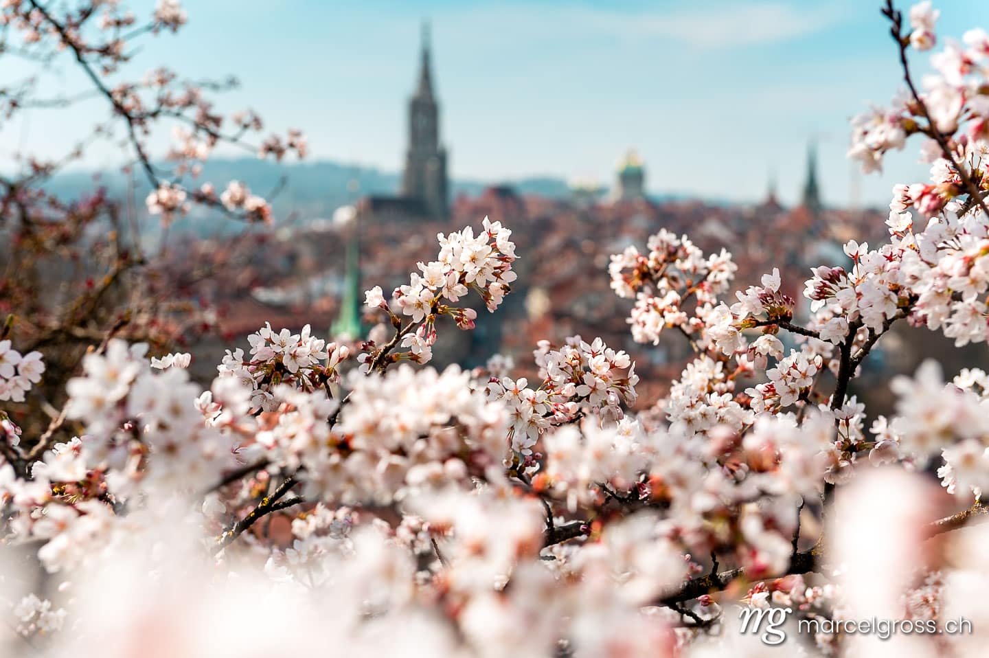 Bern Bilder. Frühlingsmorgen in Bern mit Berner Münster und Altstadt. Marcel Gross Photography