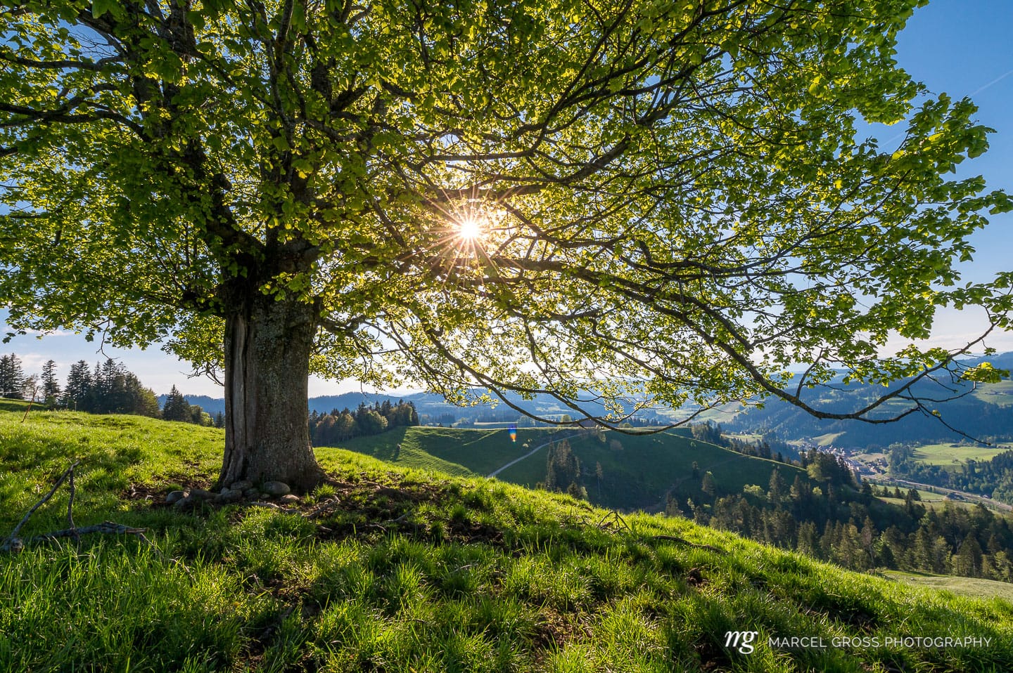 . Taken by Marcel Gross Photography