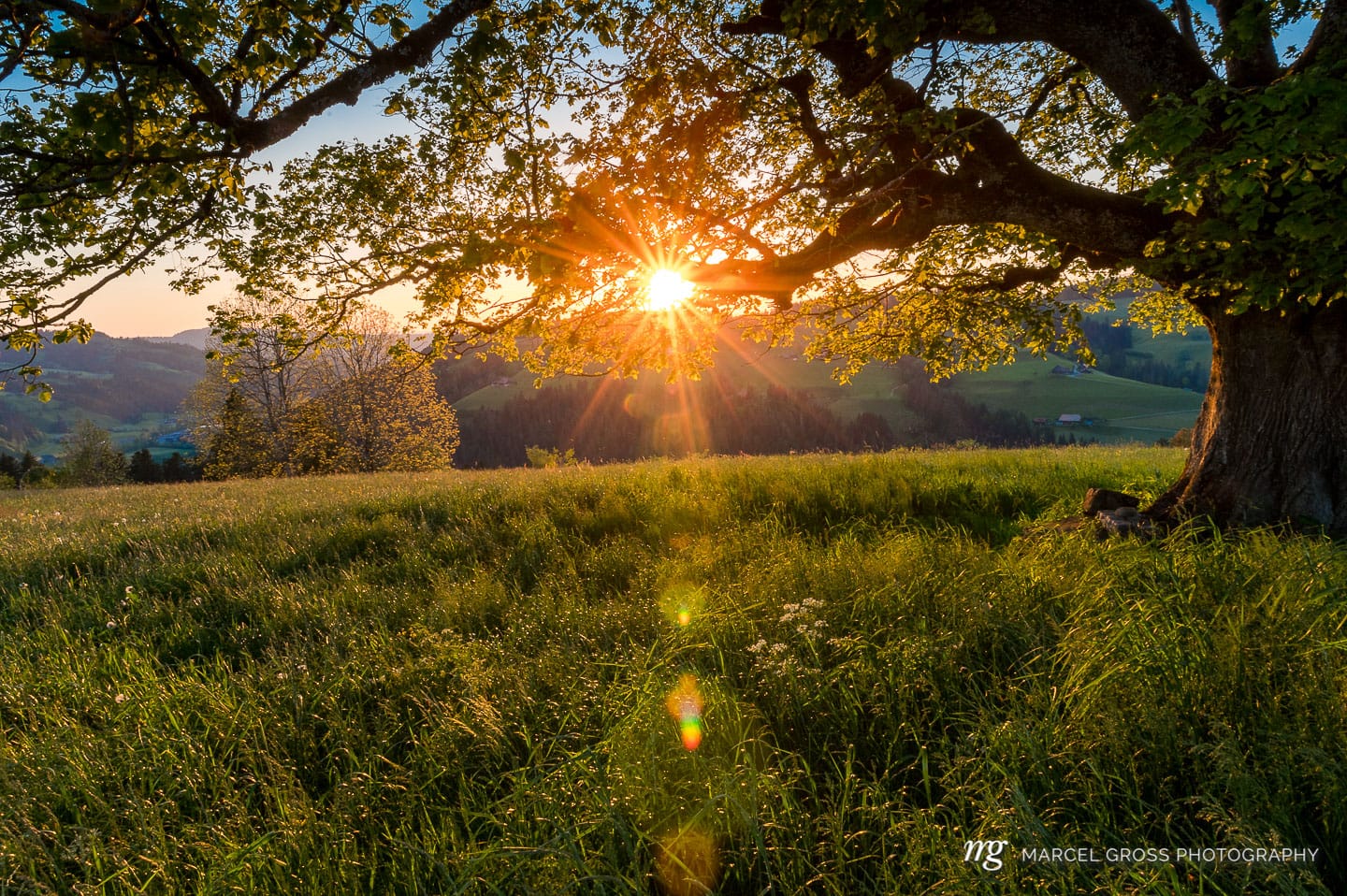 . Taken by Marcel Gross Photography
