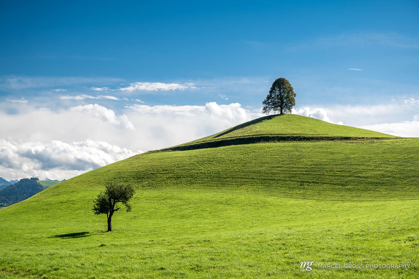 green hills with trees on top against blue sky. Taken by Marcel Gross Photography