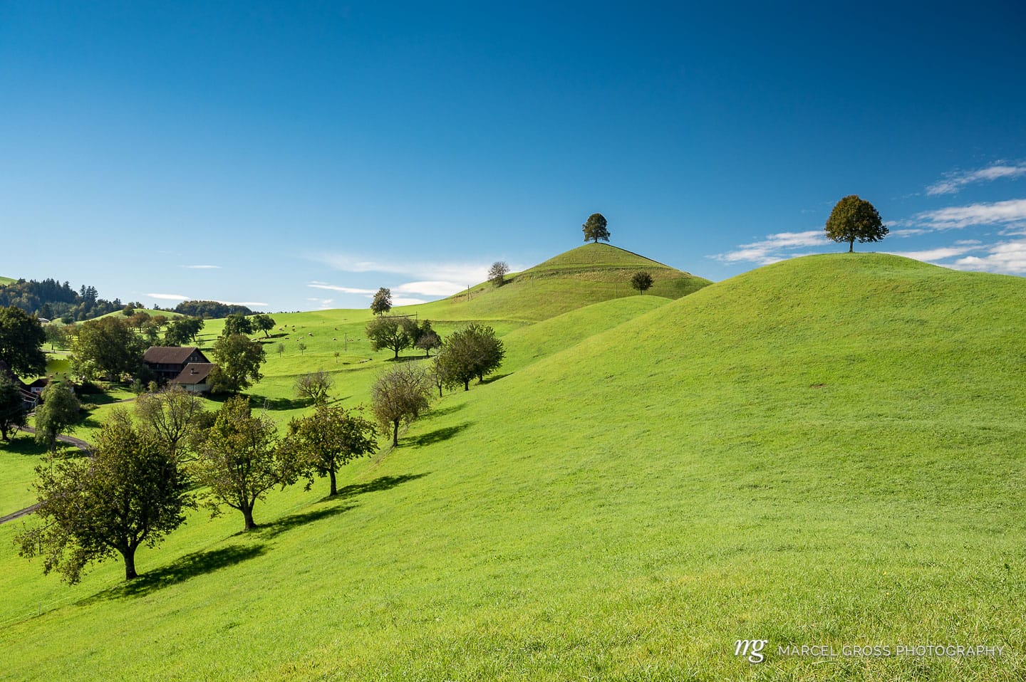green hills with trees on top against blue sky. Taken by Marcel Gross Photography