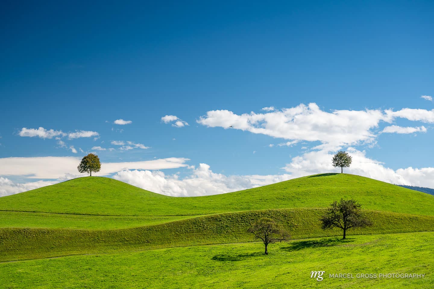 green hills with trees on top against blue sky. Taken by Marcel Gross Photography