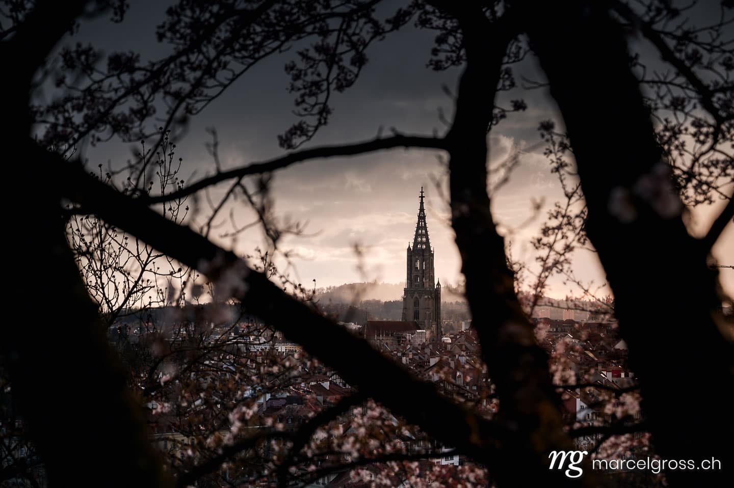 Bern Bilder. Berner Münster during cherry blossom with dramatic clouds over the oldtown of Bern in spring. Marcel Gross Photography