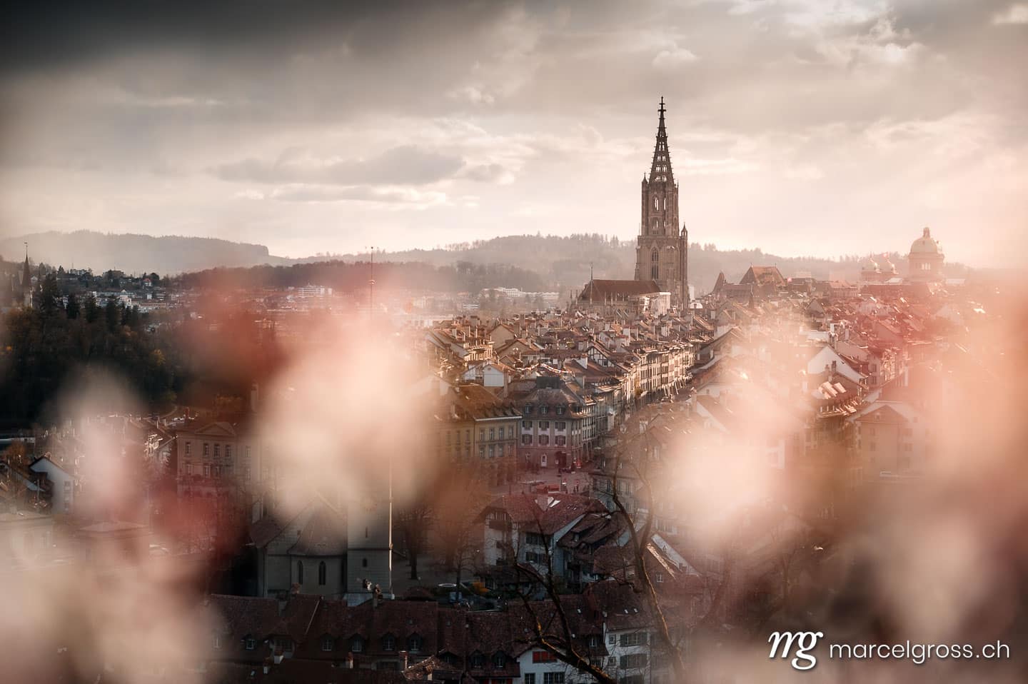Bern Bilder. cherry blossom in Berne. Marcel Gross Photography