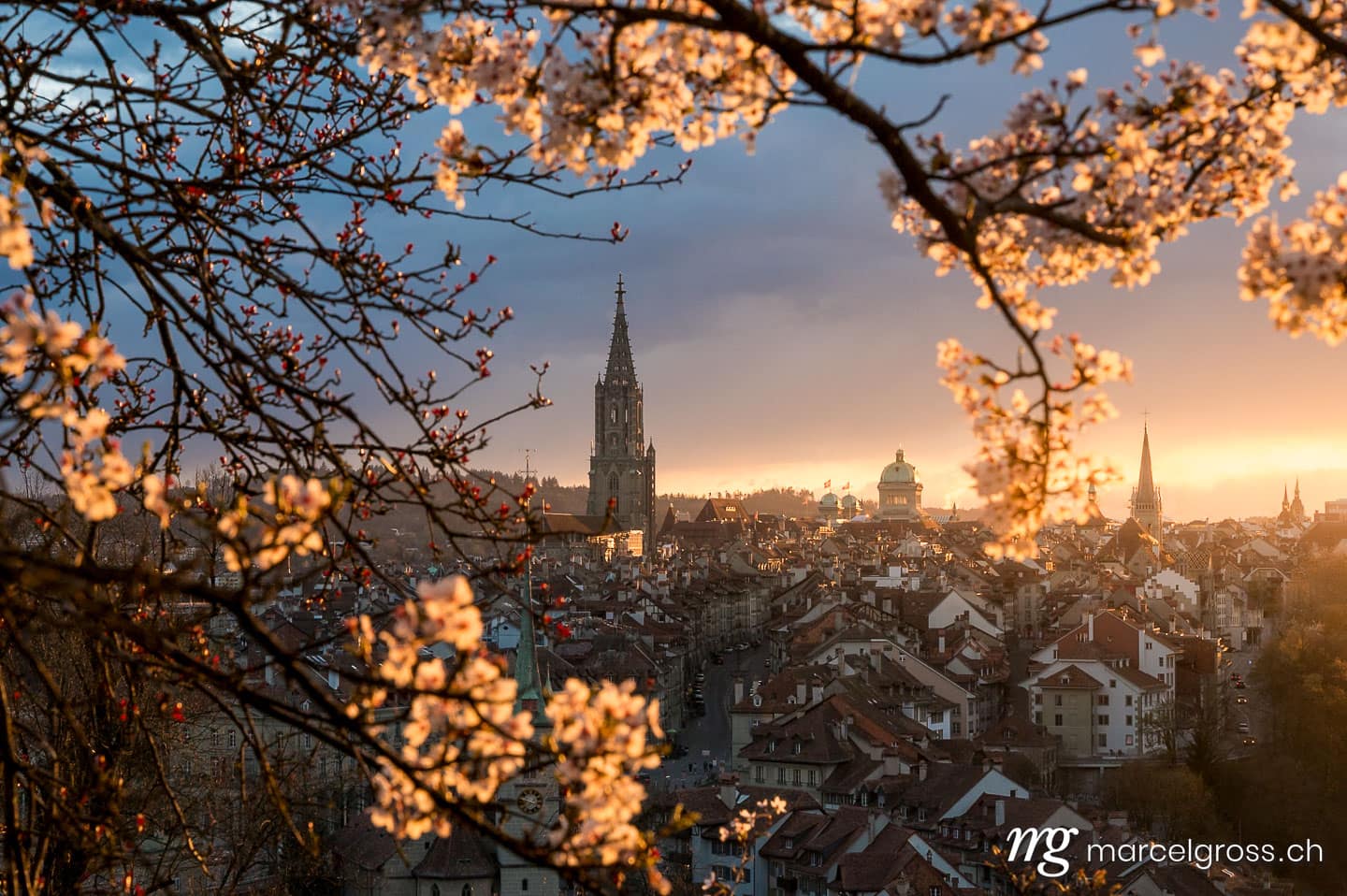 Bern Bilder. dramatic sunset over the oldtown of Bern in spring during cherry blossom. Marcel Gross Photography