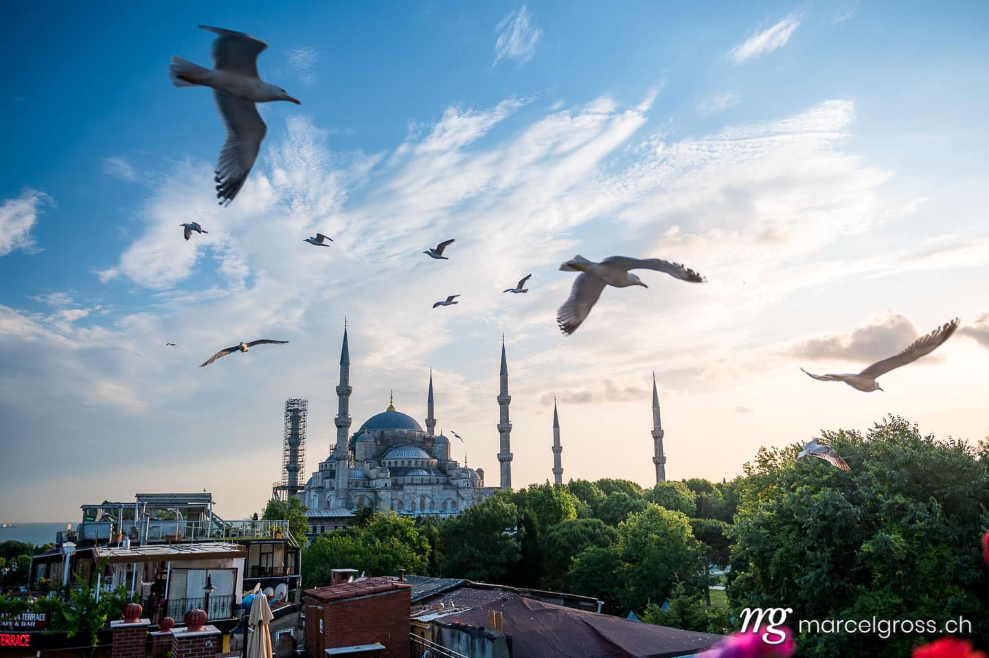 istanbul bilder. hagia sofia and seagulls. Marcel Gross Photography