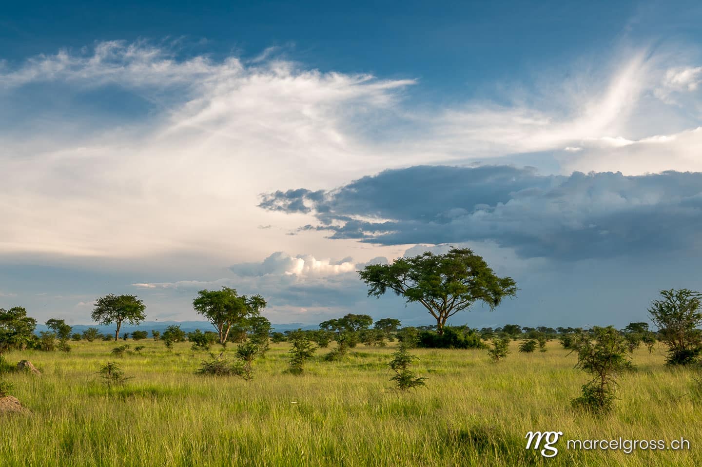 Uganda Bilder. savannah landscape in Ishasha Sector of Queen Elizabeth National Park. Marcel Gross Photography